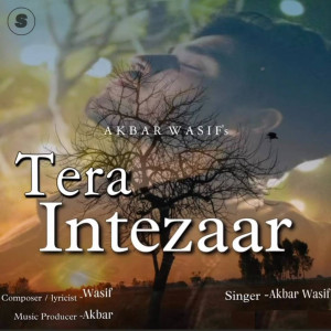 Akbar Wasif的专辑Tera Intezaar