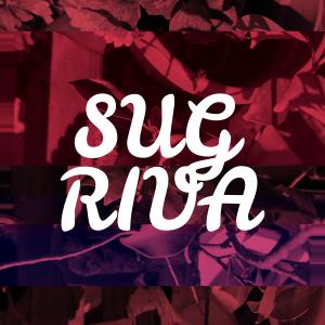 Album Riva oleh SuG