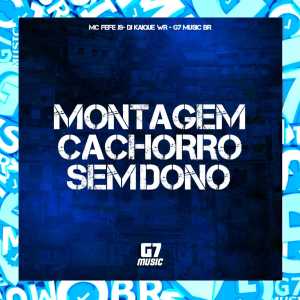 收聽DJ Kaique wr的Montagem Cachorro Sem Dono歌詞歌曲