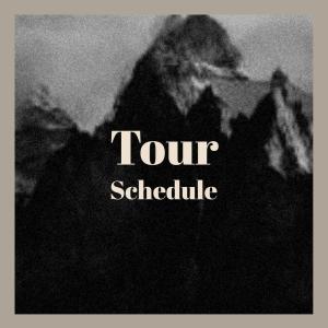 Various Artists的專輯Tour Schedule