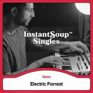 ดาวน์โหลดและฟังเพลง Electric Forrest (feat. Gees) พร้อมเนื้อเพลงจาก Instant Soup