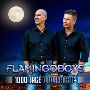 Dengarkan 1000 Tage 1000 Nächte lagu dari Flamingoboys dengan lirik