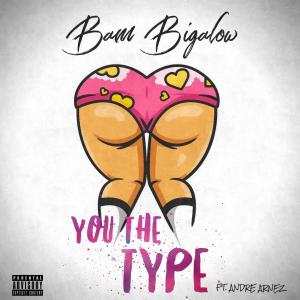Bam Bigalow的專輯You The Type (feat. Andre Arnez) (Explicit)