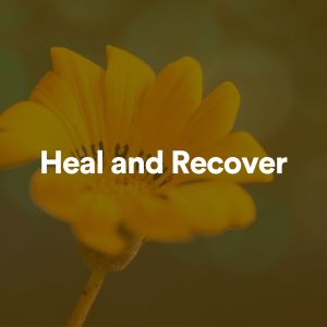 Album Heal and Recover oleh Great Meditation Guru