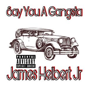 Album Say You a Gangsta (Explicit) from James Helbert Jr