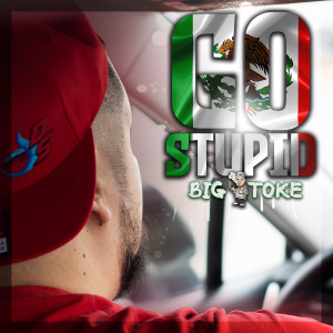Big Toke的專輯Go Stupid (Explicit)