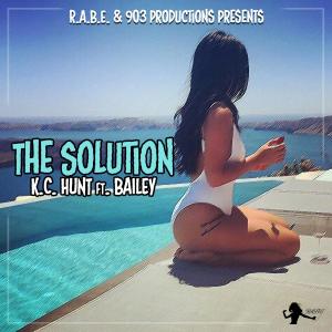 Album The Solution (feat. Bailey) from Bailey