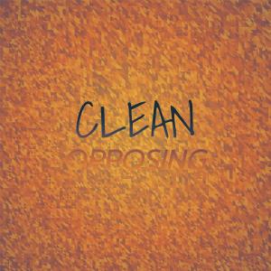 Various的专辑Clean Opposing