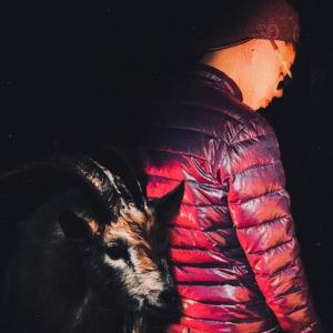 收聽Yasser Delpiero的El Dinero Y Tu (feat. Drago200) (Remix)歌詞歌曲