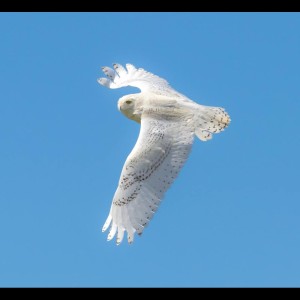 ดาวน์โหลดและฟังเพลง Great Productive Day พร้อมเนื้อเพลงจาก Pro Sounds of Nature