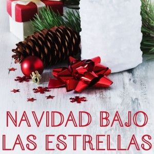 The Caroleers的专辑Navidad Bajo Las Estrellas