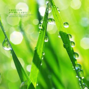Listen to The Warm Spring Breeze song with lyrics from For You