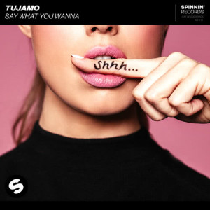 ดาวน์โหลดและฟังเพลง Say What You Wanna (Extended Mix) พร้อมเนื้อเพลงจาก Tujamo