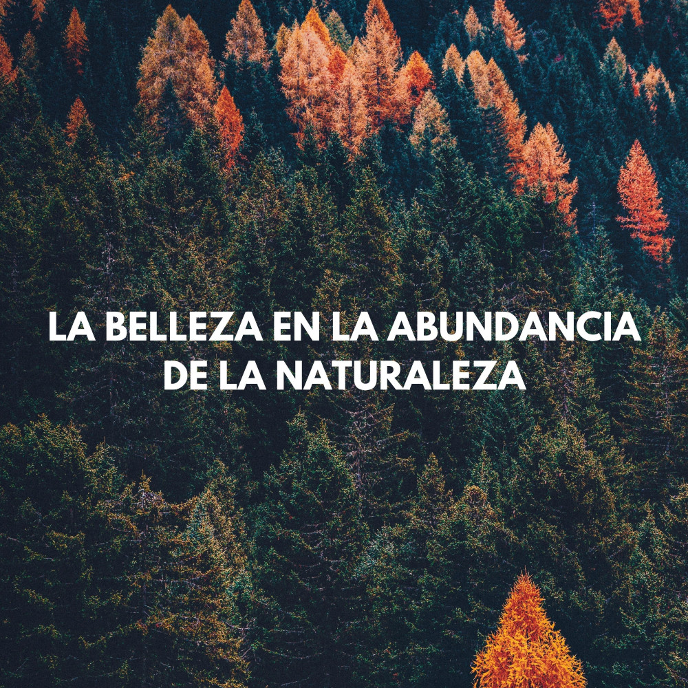 Comodidad De La Vida Silvestre