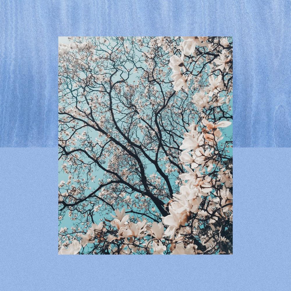 wishing you'd come back (feat. joripu.)