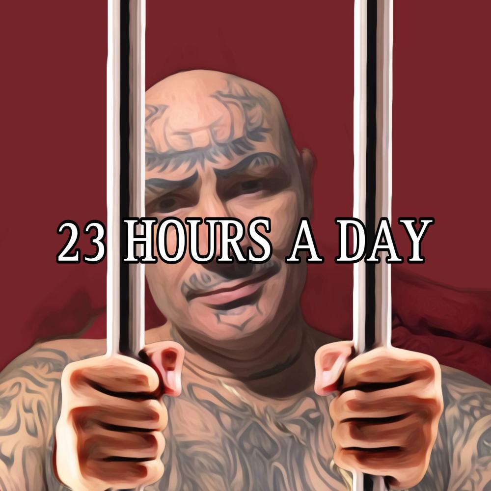 23 HOURS A DAY