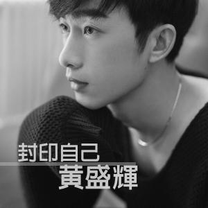 Listen to Seal yourself (伴奏) song with lyrics from 黄盛辉