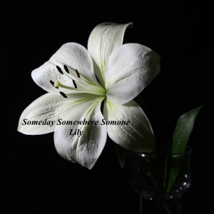 Lily的专辑Someday Somewhere Someone