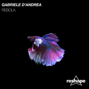 收聽Gabriele D'Andrea的Rebola歌詞歌曲