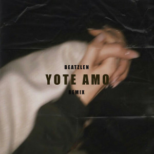 Listen to Yo Te Amo (Cover) song with lyrics from Beatzlen