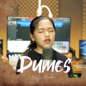 ดาวน์โหลดและฟังเพลง Dumes พร้อมเนื้อเพลงจาก Nayla Fardila