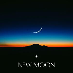 Album New Moon (Piano Collection) from Love Poet