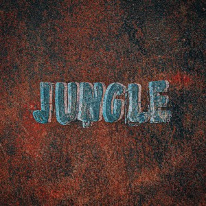 Listen to Jungle song with lyrics from DJ Wreckx