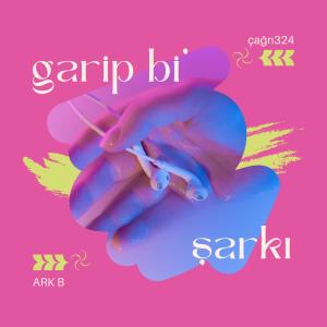 收聽çağrı324的garip bi' şarkı (feat. Ark B)歌詞歌曲
