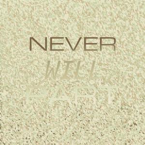 Silvia Natiello-Spiller的專輯Never Will Part