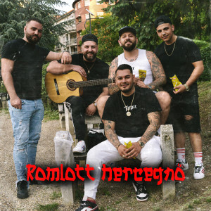 Album Romlott hercegnő from GINOKA