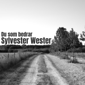 Listen to Du som bedrar song with lyrics from Sylvester Wester