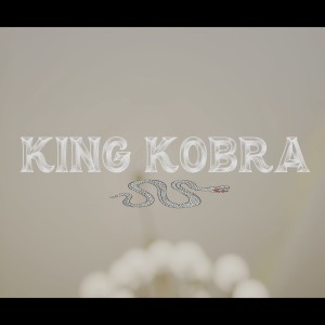 ดาวน์โหลดและฟังเพลง KING KOBRA (feat. WAV3POP) (Explicit) พร้อมเนื้อเพลงจาก Ziggy Zeigler