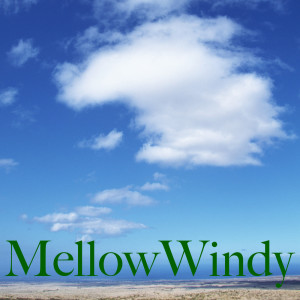 Listen to VOICE OF THE WIND song with lyrics from SOUND OF SEQUENCE