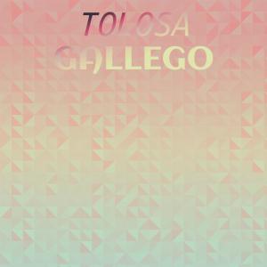 Various Artists的專輯Tolosa Gallego