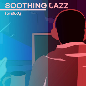 Listen to Silent Day song with lyrics from Easy Study Music Academy