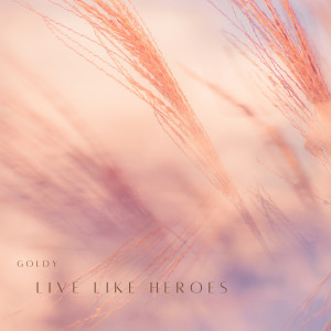 Album Live Like Heroes from Goldy