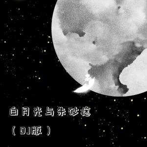 Listen to 白月光与朱砂痣(DJ版） song with lyrics from 朱朱同学