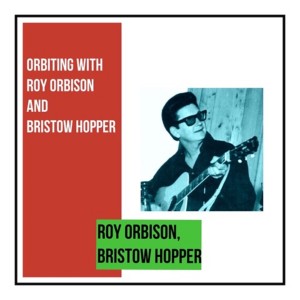Listen to I Never Knew song with lyrics from Roy Orbison