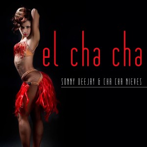 ดาวน์โหลดและฟังเพลง El Cha Cha (Reggaepizzi Mix) พร้อมเนื้อเพลงจาก Sonny Deejay