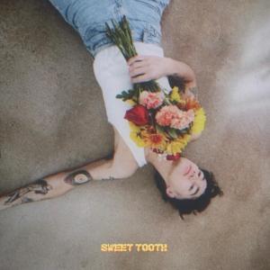 收聽THE BRKN的Sweet Tooth歌詞歌曲