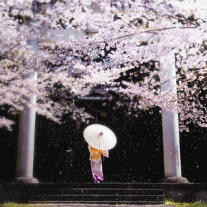 อัลบัม Honeymoon Un Deux Trois (piano cover) ศิลปิน Emptiness