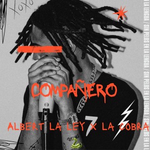 ดาวน์โหลดและฟังเพลง Compañero พร้อมเนื้อเพลงจาก Albert la ley