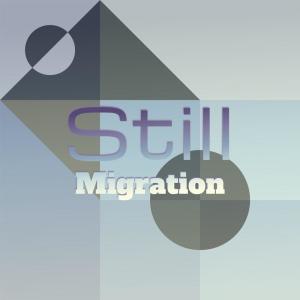 Various的专辑Still Migration