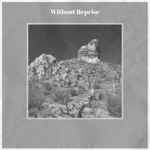 Album Without Reprise from 