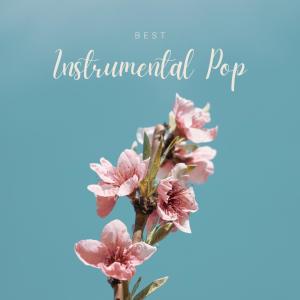 Various Artists的專輯Best Instrumental Pop