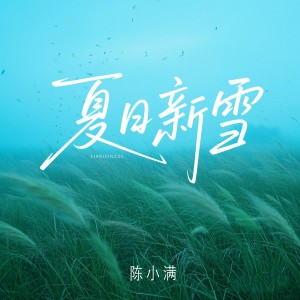 Album 夏日新雪 from 陈小满