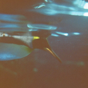 ดาวน์โหลดและฟังเพลง passion พร้อมเนื้อเพลงจาก YOHLU