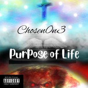 收聽Chosen0N3的Purpose of Life歌詞歌曲
