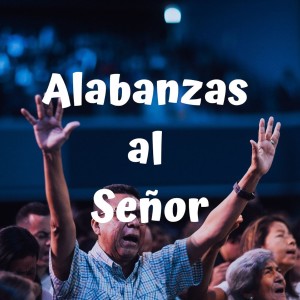 Listen to Enamorados song with lyrics from Tercer Cielo