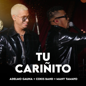 Listen to Tu Cariñito (En Vivo) song with lyrics from Adelmo Gauna